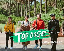 扣扣传媒《TOP DOG》免费在线观看