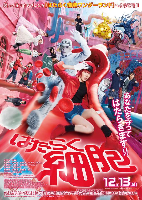 扒哥吃瓜《工作细胞 真人版 はたらく細胞》免费在线观看