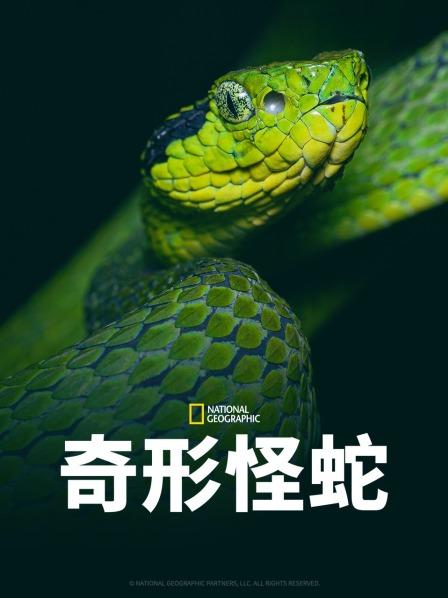 抖抈社区《奇形怪蛇》免费在线观看