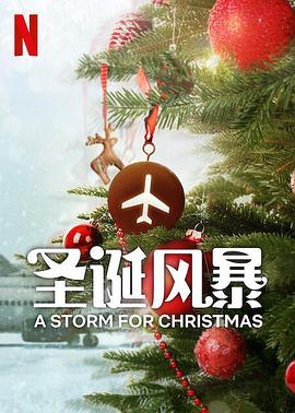 扒哥吃瓜《圣诞风暴》免费在线观看